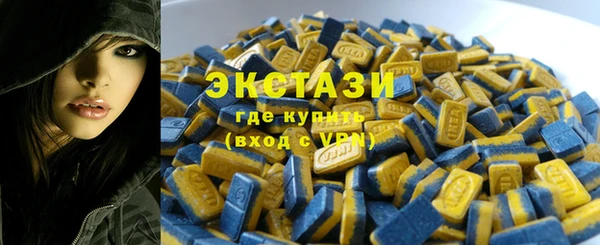 шишки Няндома