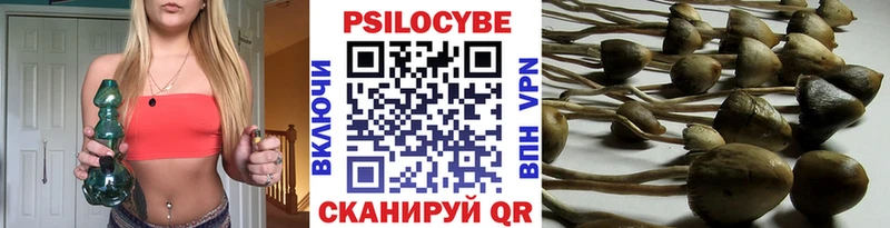 Псилоцибиновые грибы Cubensis  Каменск-Уральский 