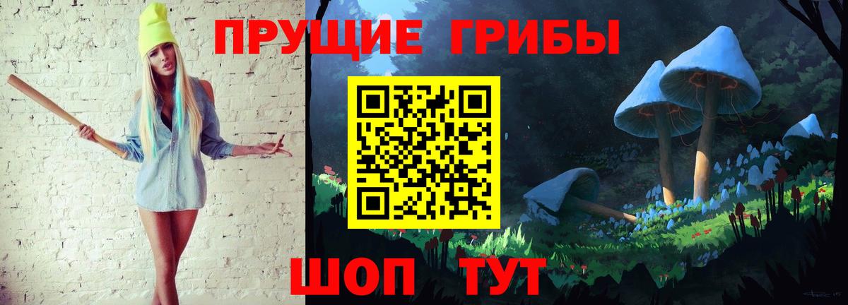 Галлюциногенные грибы Psilocybine cubensis Каменск-Уральский