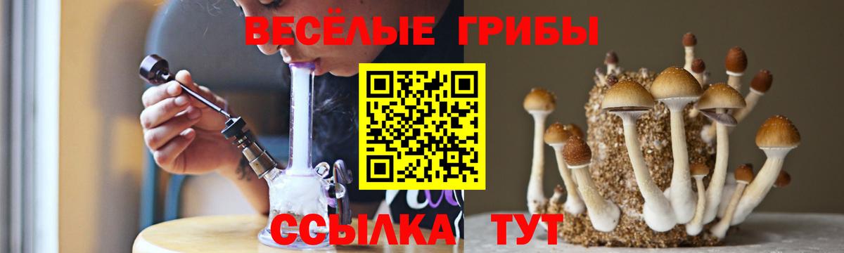 Псилоцибиновые грибы мицелий  Псилоцибиновые грибы мицелий  Вход с VPN  Каменск-Уральский 